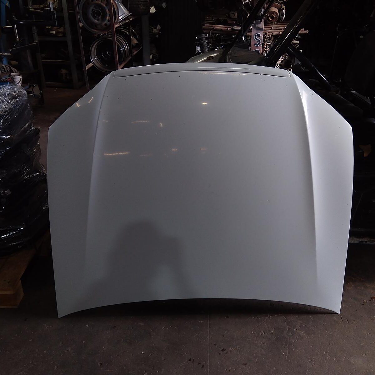 2009 FORD FALCON Bonnet